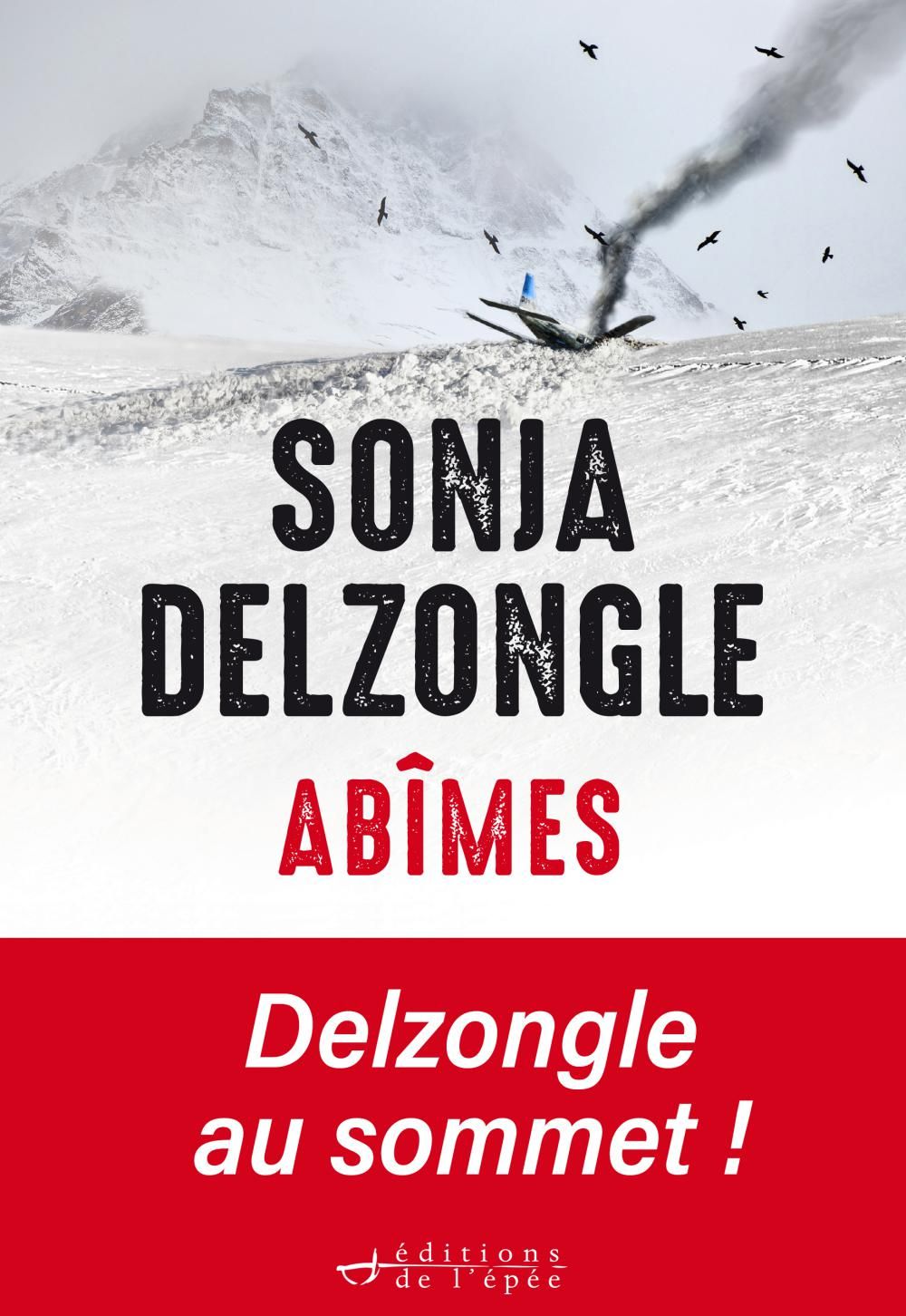 Acheter le livre numérique Abîmes de Sonja Delzongle