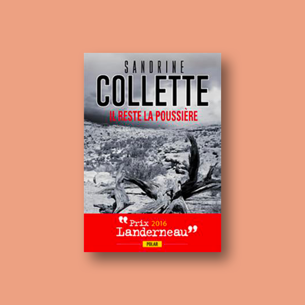 Ebook Il reste la poussière de Sandrine Collette