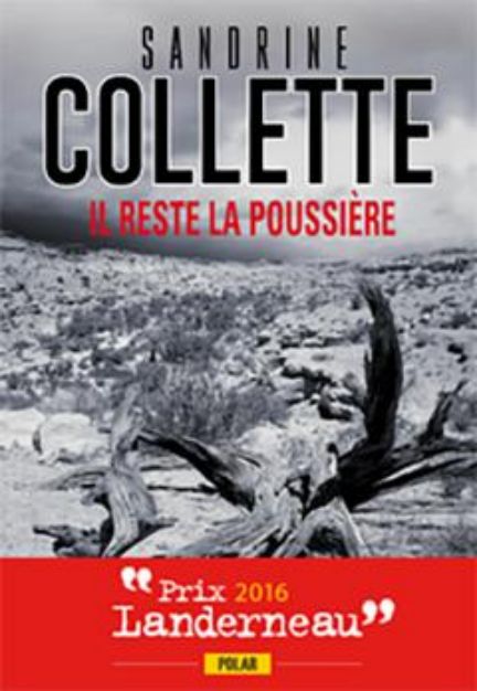 Acheter le livre numérique Il reste la poussière de Sandrine Collette
